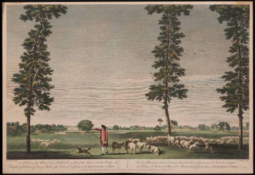 Print 1955-401