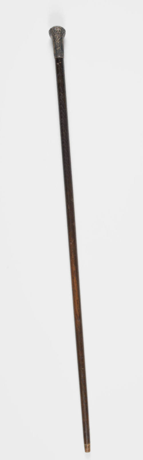 2023-258, Walking Stick