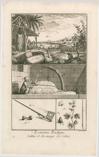 1966-218,1, Print