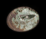D2005-CMD-189

