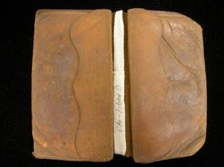 2009 Record shot by L. Baumgarten. Purse.
