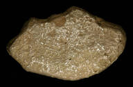 D2005-CMD-335
