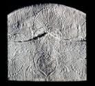 DS1989-0817
