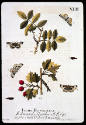 DS1988-973
