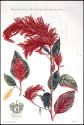 DS1986-1056
