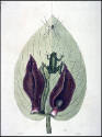 DS1993-0337

