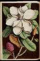 D2006-CMD-849, Plate 61


