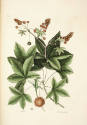 D2006-CMD-853, Plate 65

