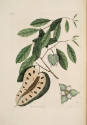 D2006-CMD-855, Plate 67


