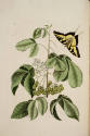 D2006-CMD-870, Plate 83


