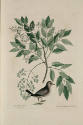 D2006-CMD-896, Plate 26

