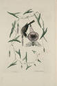 D2006-CMD-899, Plate 35

