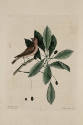 D2006-CMD-901, Plate 41

