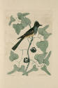 D2006-CMD-905, Plate 52

