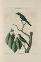 D2006-CMD-907, Plate 54

