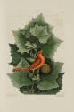D2006-CMD-908, Plate 56

