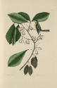 D2006-CMD-909, Plate 64


