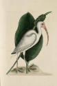 D2006-CMD-915, Plate 82

