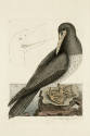 D2006-CMD-918, Plate 87

