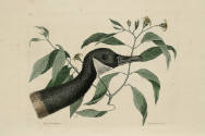 D2006-CMD-921, Plate 92

