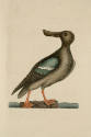 D2006-CMD-924, Plate 96

