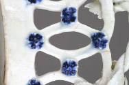 D2007-CMD-0015
