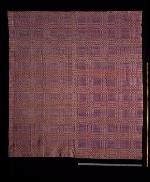 DS2006-0223

