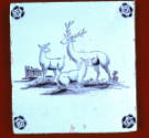 DS1989-0583
