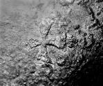 C2002-128-5, Salt