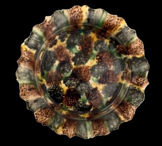 Record photo by C. Lafiandra. Plate