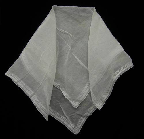 2009 Record shot by L. Baumgarten. Sheer cotton kerchief.