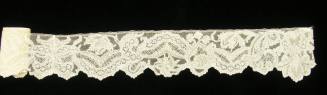 2009 Record shot by L. Baumgarten. Lace.