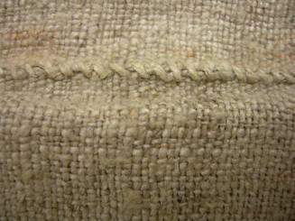 2009 Record shot by L. Baumgarten. Mattress tick, detail.