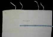 2009 Record shot by L. Baumgarten. Pillowcase.