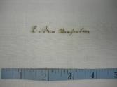 2009 Record shot by L. Baumgarten. Pillowcase.