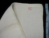 2009 Record shot by L. Baumgarten. Napkin, detail of embroidery.