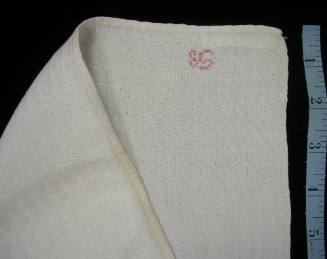2009 Record shot by L. Baumgarten. Napkin, detail of embroidery.