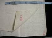 2009 Record shot by L. Baumgarten. Napkin, detail of embroidery.