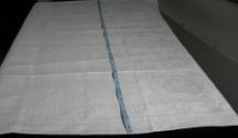 2009 Record shot by L. Baumgarten. Napkin.