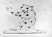 C71-1218. Salt, crest.