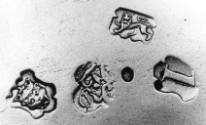 C70-610. Bowl, marks.