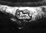 C70-560. Taperstick, lion passant