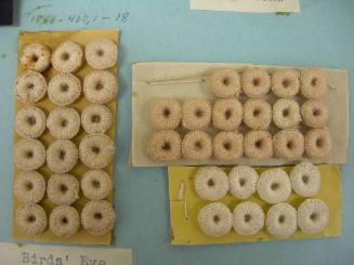 2009 Record shot by L. Baumgarten. Buttons.