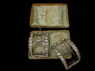 2009 Record shot by L. Baumgarten. Buckles: 1950-110,1-2