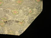 2009 Record shot by L. Baumgarten. Waistcoat.