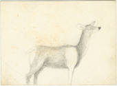 2009.1400.1b