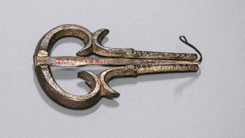 Conservation Photograph