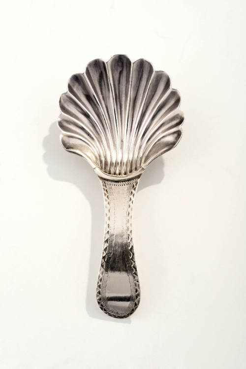Caddy Spoon 1998-92