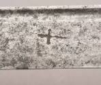 Sword 2014-210