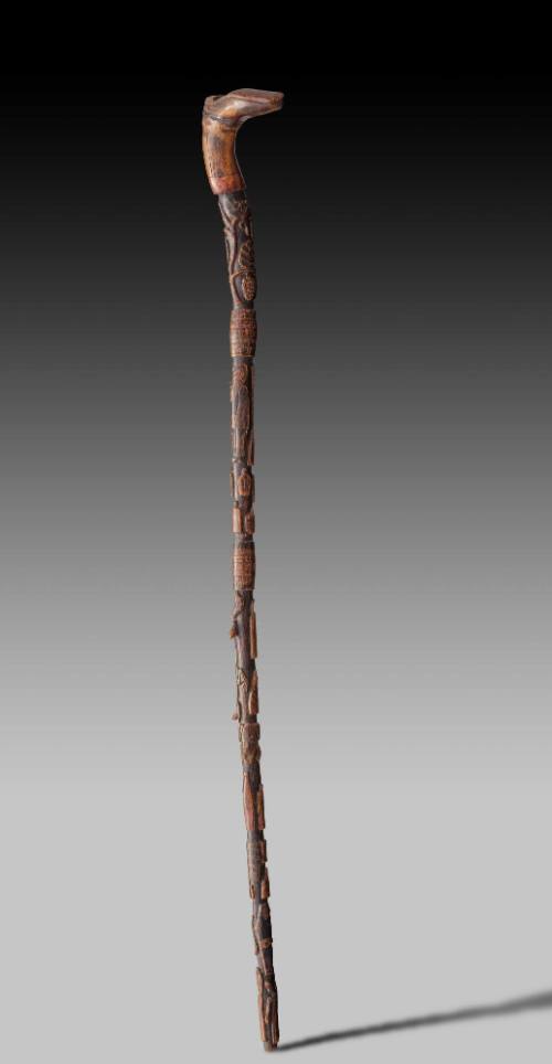 Walking Stick 2016.708.1